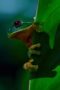 Nonton Film Earthsounds Season 1 Episode 1 Terbaru